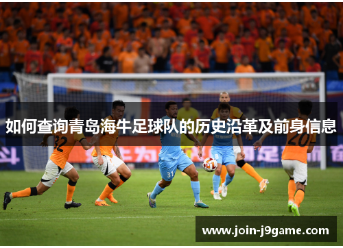 如何查询青岛海牛足球队的历史沿革及前身信息 如何查询青岛海牛足球队的历史沿革及前身信息