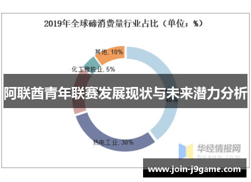 阿联酋青年联赛发展现状与未来潜力分析