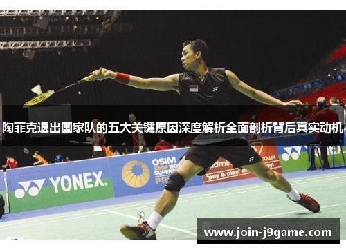 陶菲克退出国家队的五大关键原因深度解析全面剖析背后真实动机 陶菲克退出国家队的五大关键原因深度解析全面剖析背后真实动机