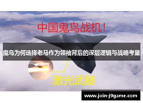 魔鸟为何选择老马作为领袖背后的深层逻辑与战略考量