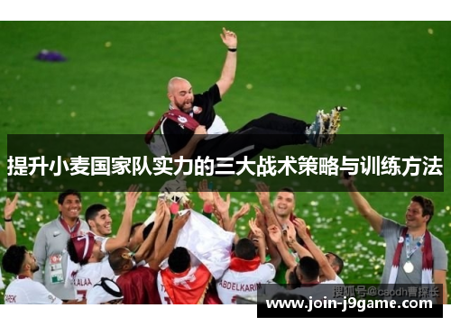 提升小麦国家队实力的三大战术策略与训练方法